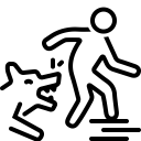 service-image